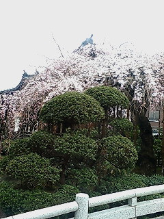 �ʑ��@�̂������