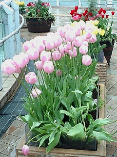 ����`�����vv